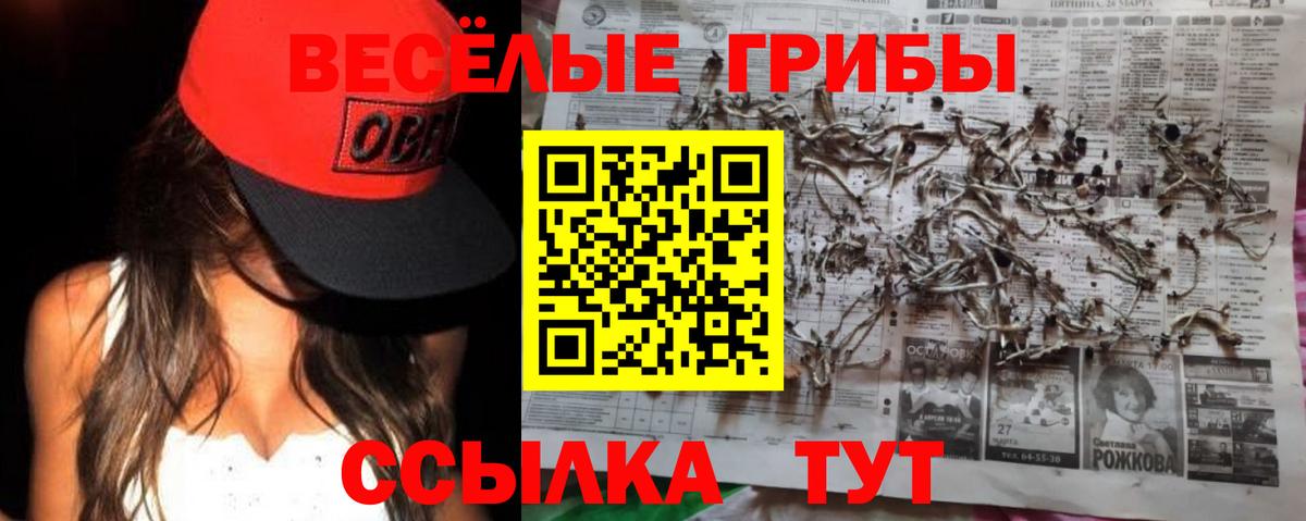 магазин продажи   Галлюциногенные грибы Cubensis  Вход с VPN  Наро-Фоминск  Галлюциногенные грибы прущие грибы 